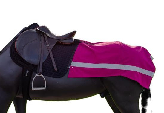 Monsovera Horse Sheet | EquiDry add-on